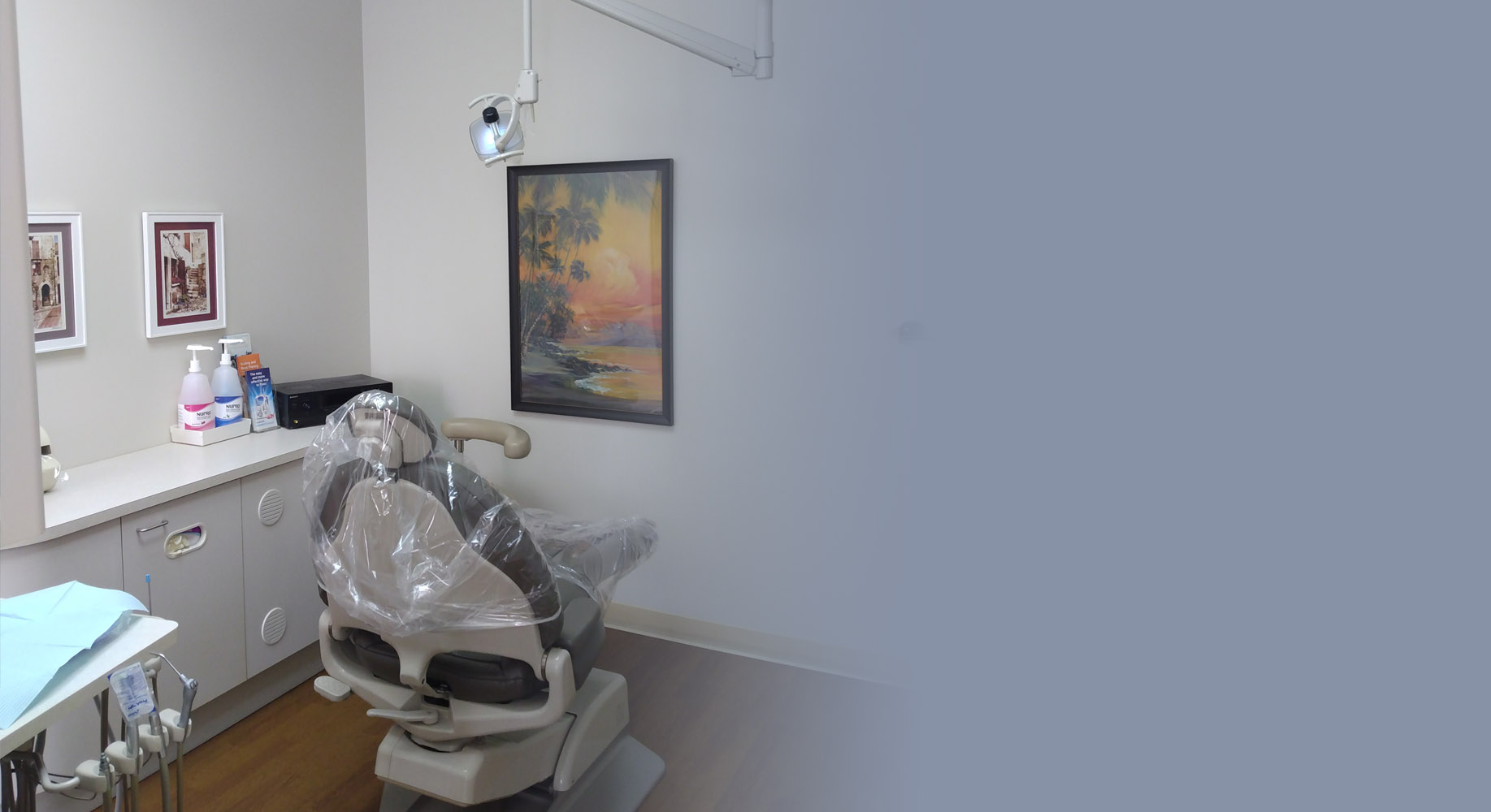 Dental Implants with Abutments and Crowns